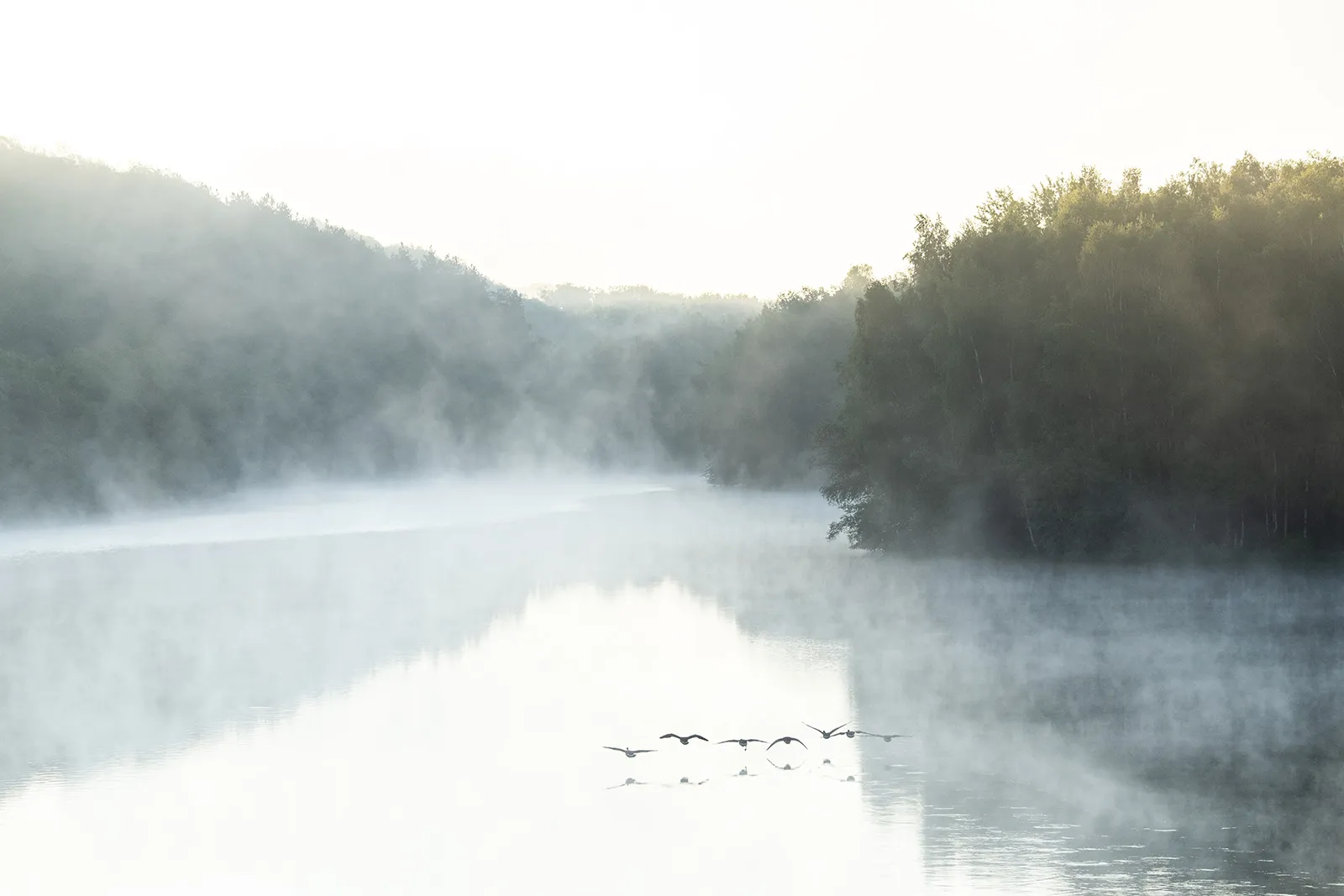 Lac brume