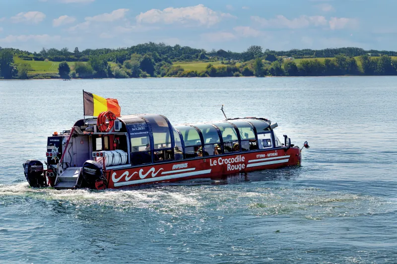 Amphibus
