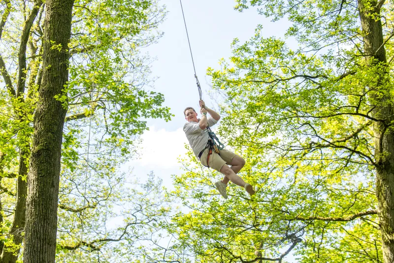 Treetop adventure trail and giant zip lines