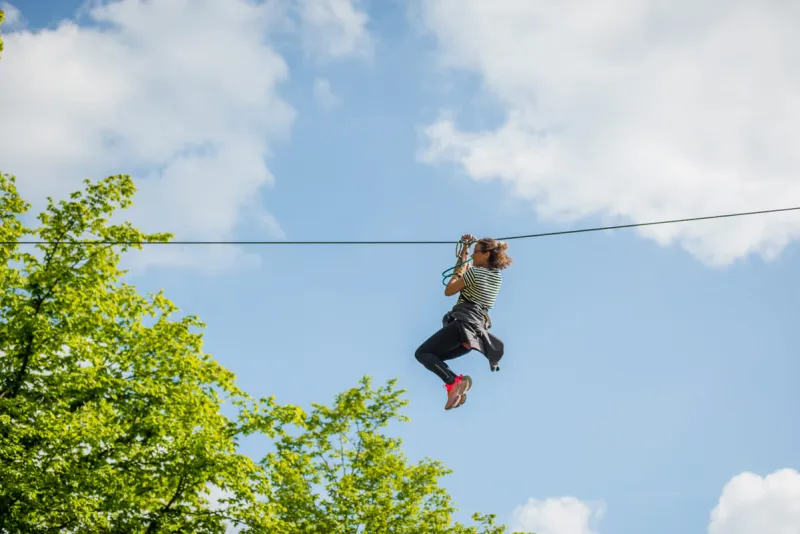 Treetop adventure trail and giant zip lines