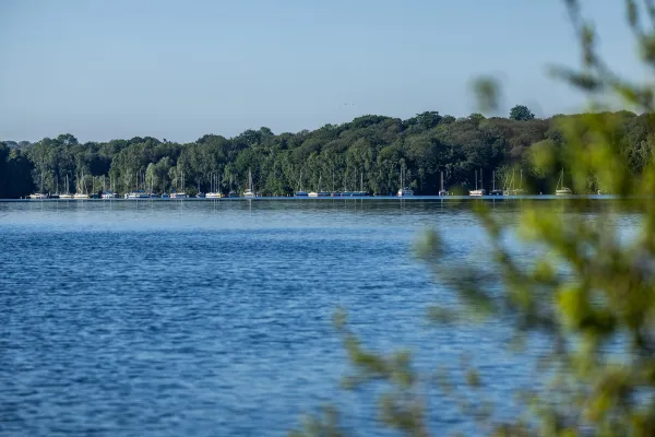 Balade La crique aux cabiniers