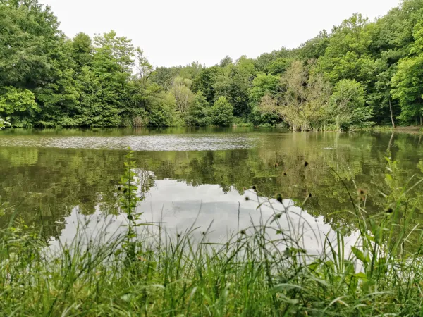 lac-du-ry-jaune.jpg