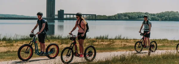 Trotinettes électriques 