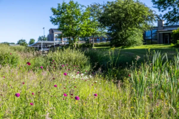 vegetation-eau-dheure.jpg