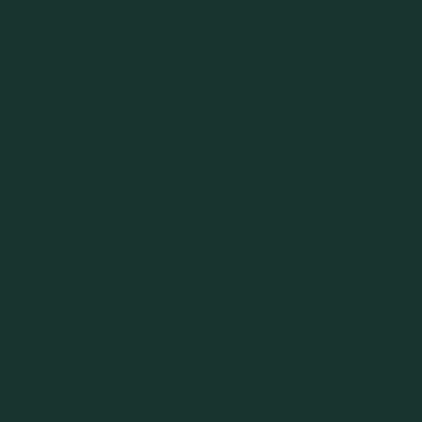 background-vert.png